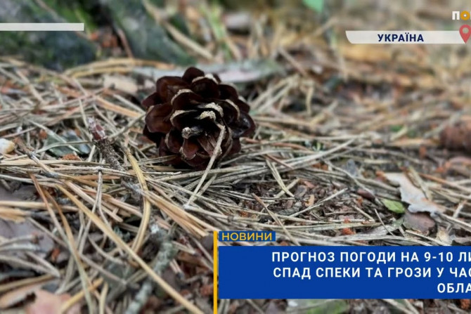 Погляд — новини Київщини онлайн - a237c720-5ac3-4c6a-bbe4-0b9fa3781fd6 - зображення